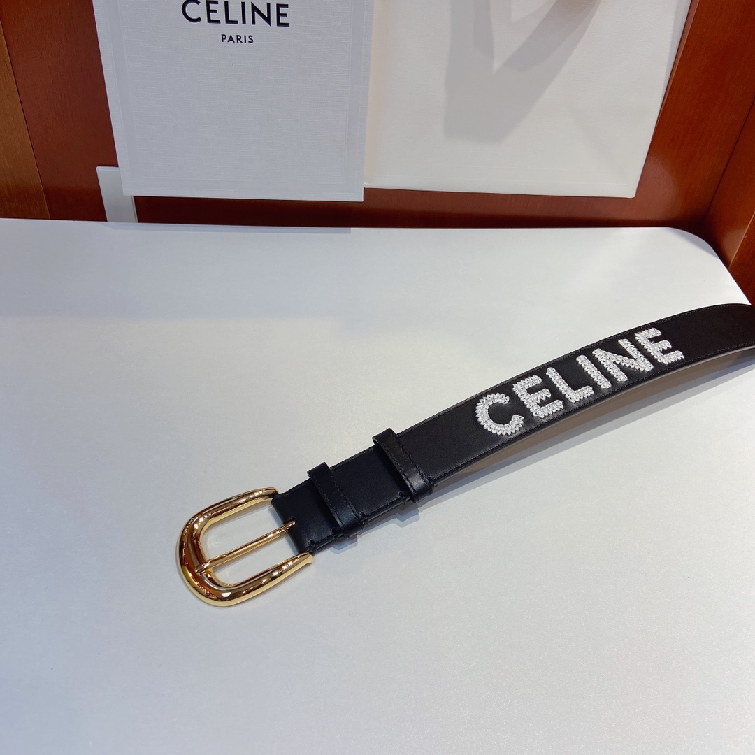 赛琳CELINEWESTERN大号C