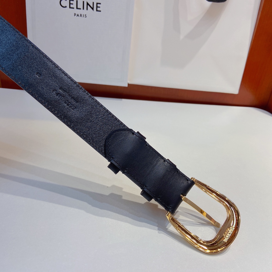 赛琳CELINEWESTERN大号C