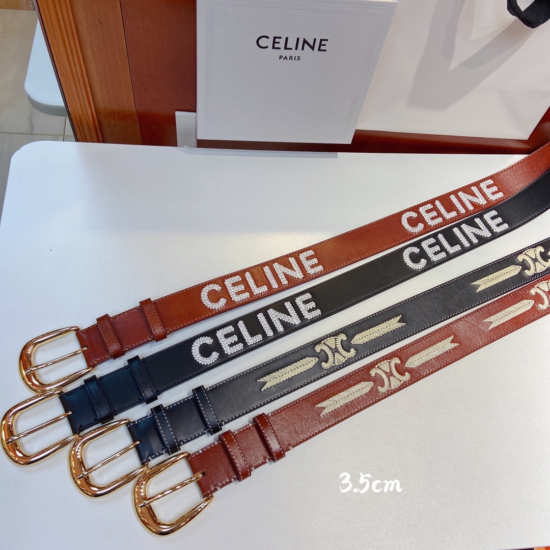 赛琳CELINEWESTERN大号C