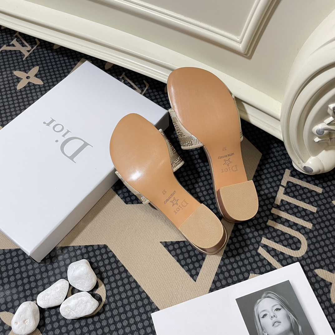 Dior Classic Luxury Leather Shoe Loafer Ref 8