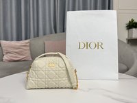 From China
 Dior Caro Bags Handbags White Summer Collection Cosy Chains