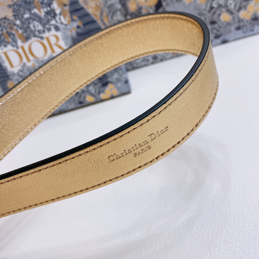 dior23-DIOR腰带扣内侧饰有