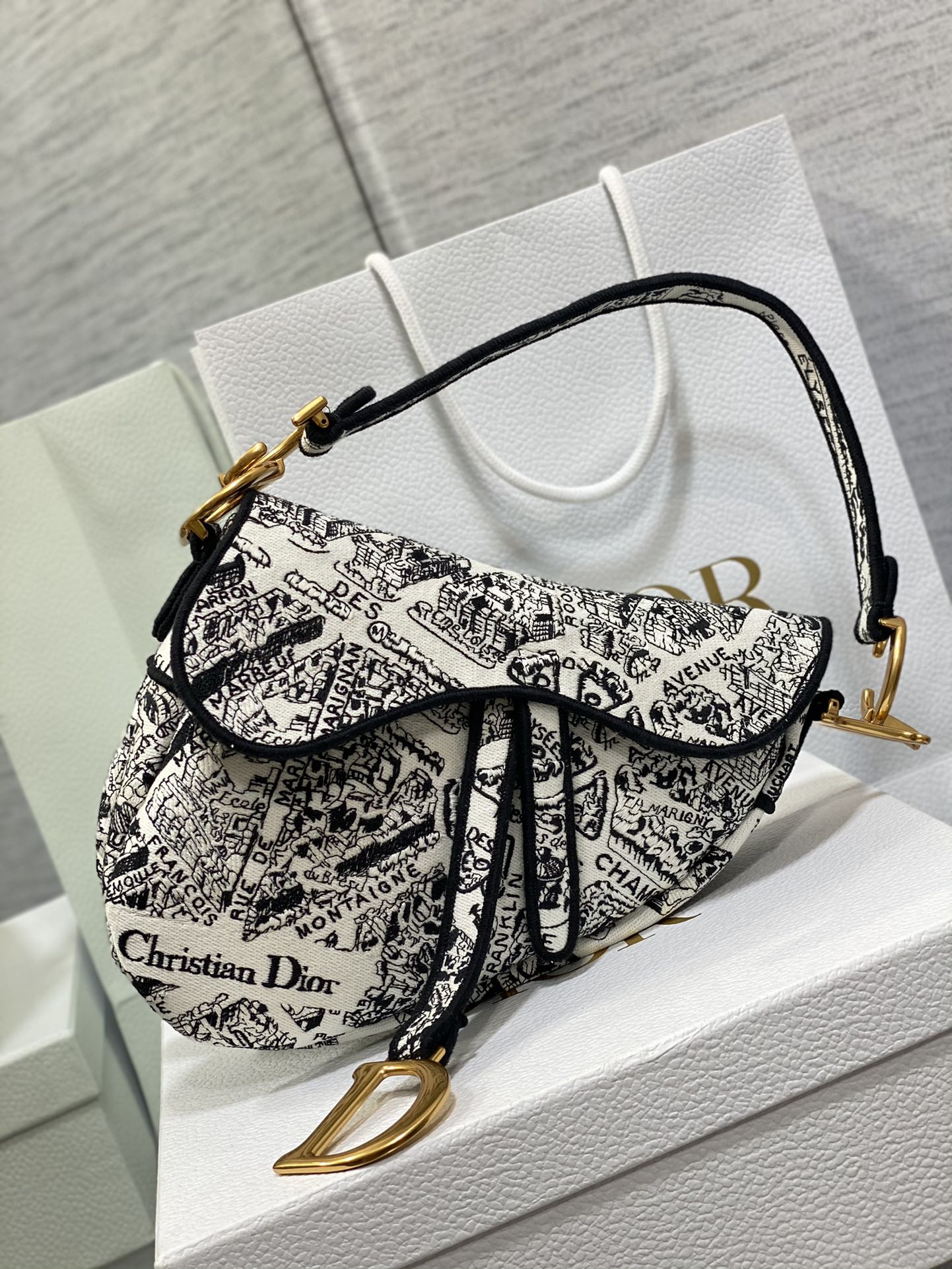 Dior Saddle Bag Embroidered Paris Map Saddle Bag