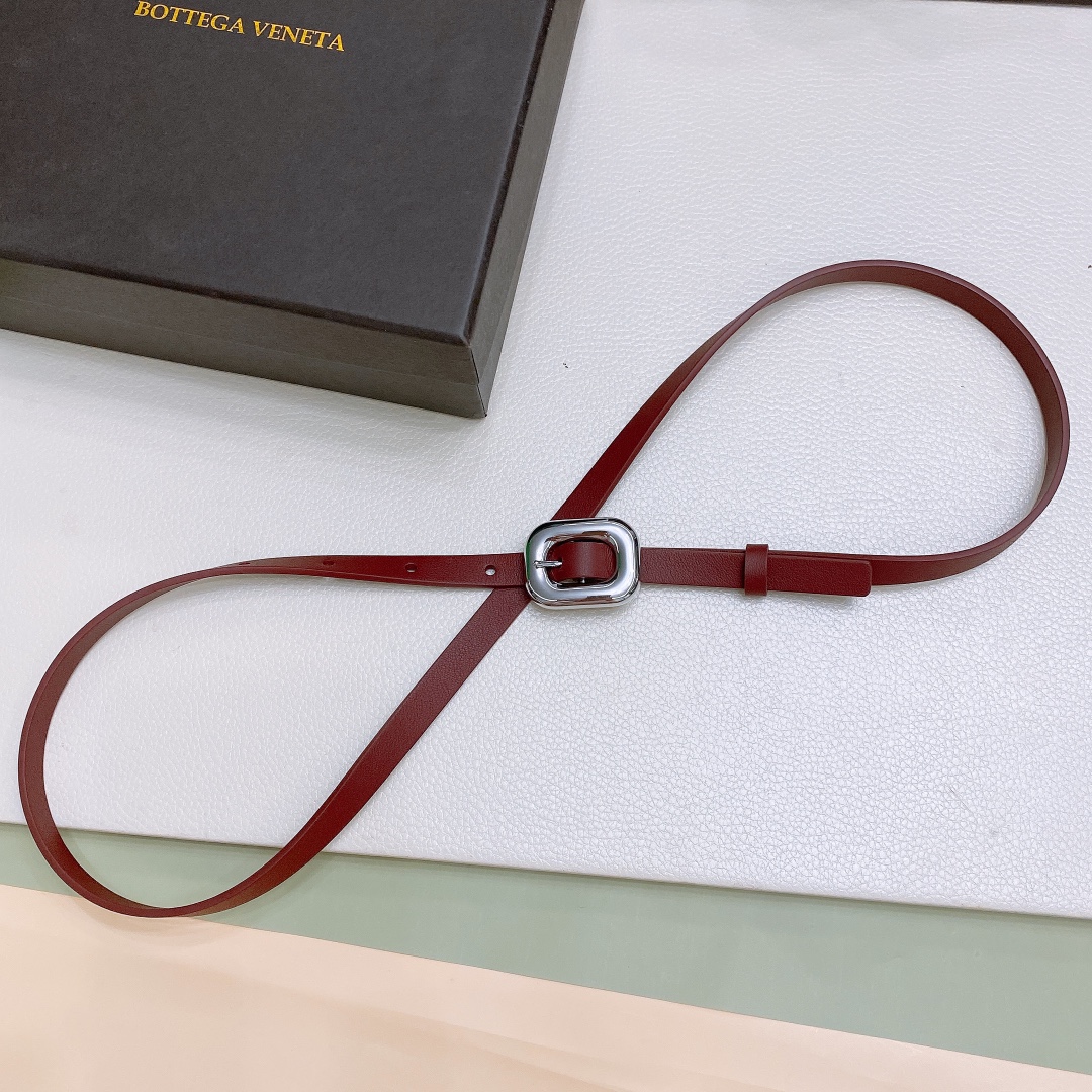 Ms. BV Calf Skin Link Belt Purchase Guide: Sizes, Material, and Buckle Details - 图片 6