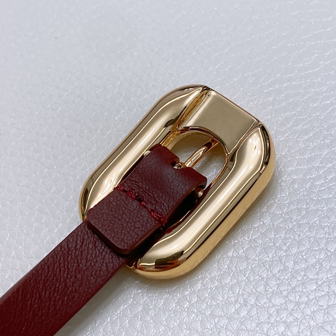 Ms. BV Calf Skin Link Belt with Brass Buckle in Various Sizes - 图片 7