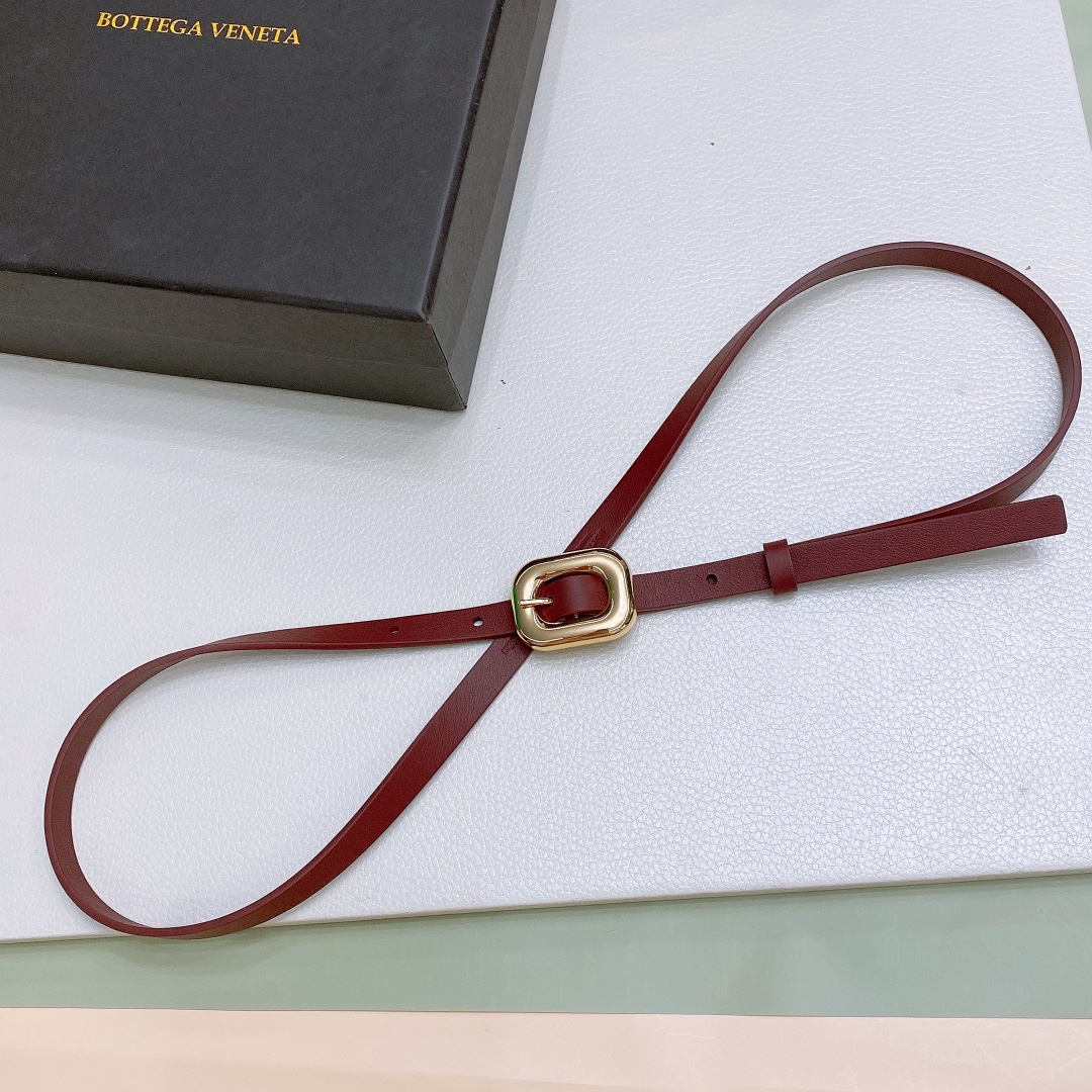 Ms. BV Calf Skin Link Belt with Brass Buckle in Various Sizes - 图片 9