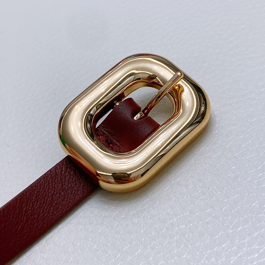 Ms. BV Calf Skin Link Belt with Brass Buckle in Various Sizes - 图片 2