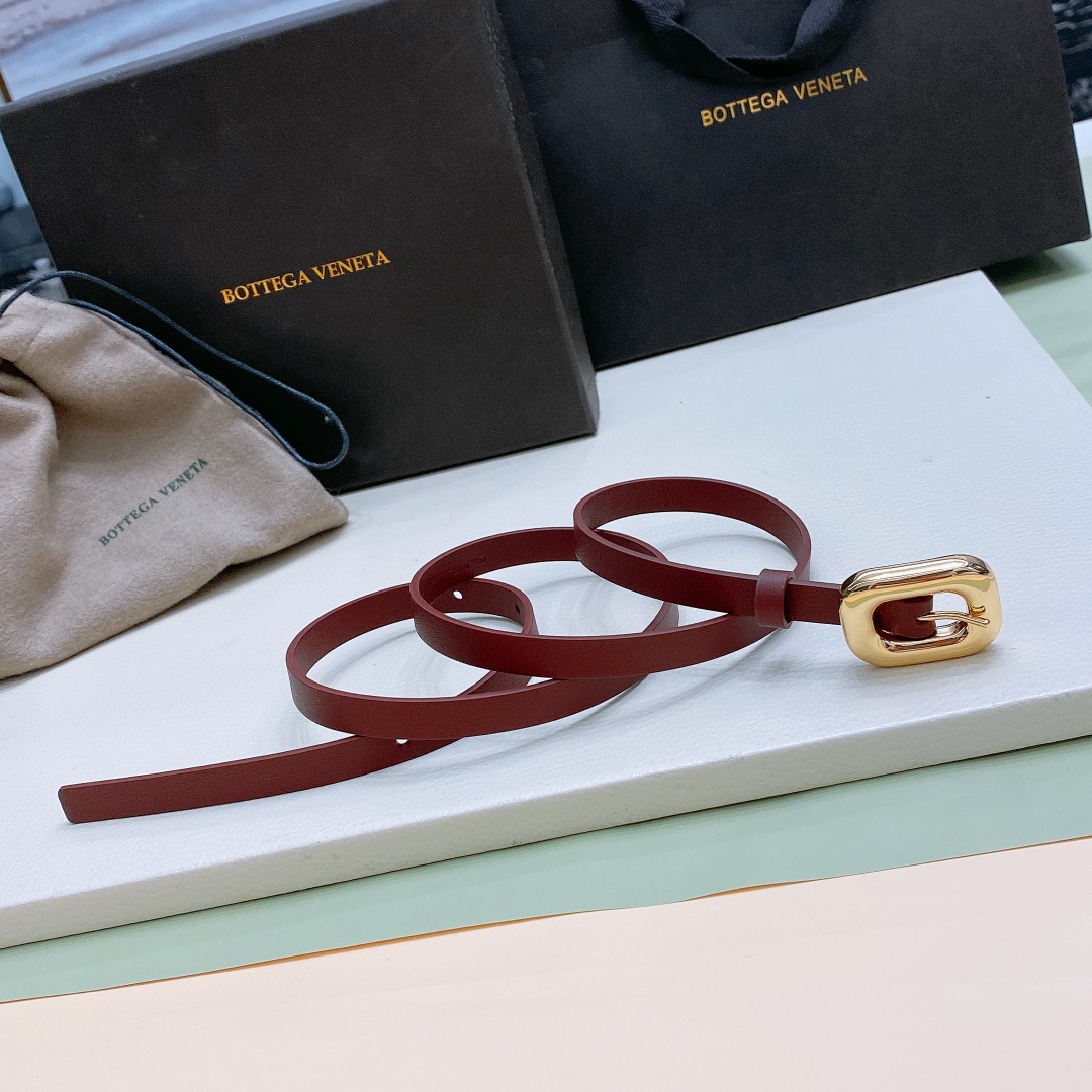 Ms. BV Calf Skin Link Belt with Brass Buckle in Various Sizes - 图片 1