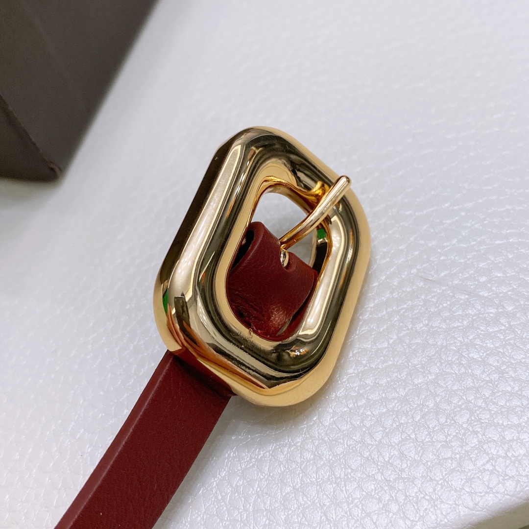 Ms. BV Calf Skin Link Belt with Brass Buckle in Various Sizes - 图片 6