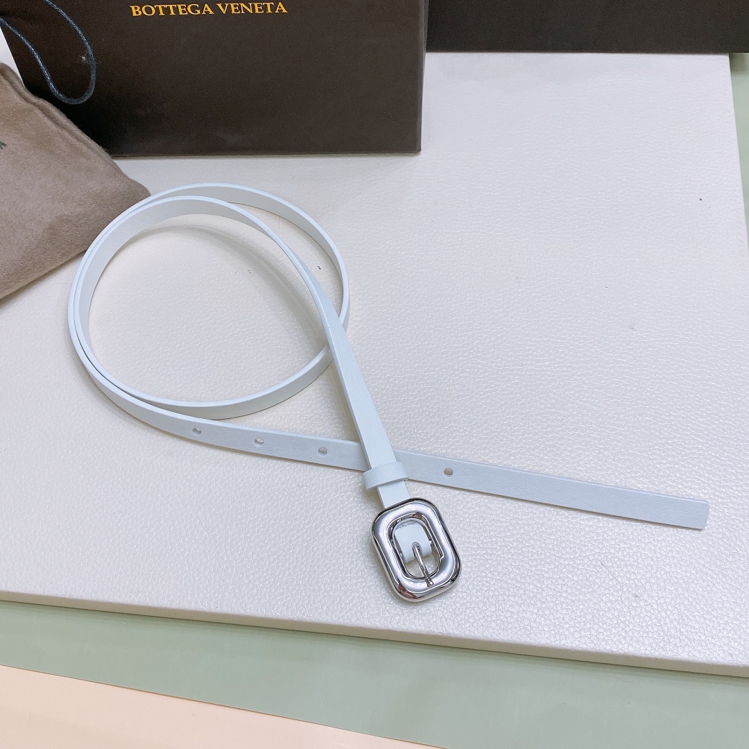 Ms. BV Calfskin Link Belt: Soft Hands, Brass Buckle, Various Sizes. - 图片 4