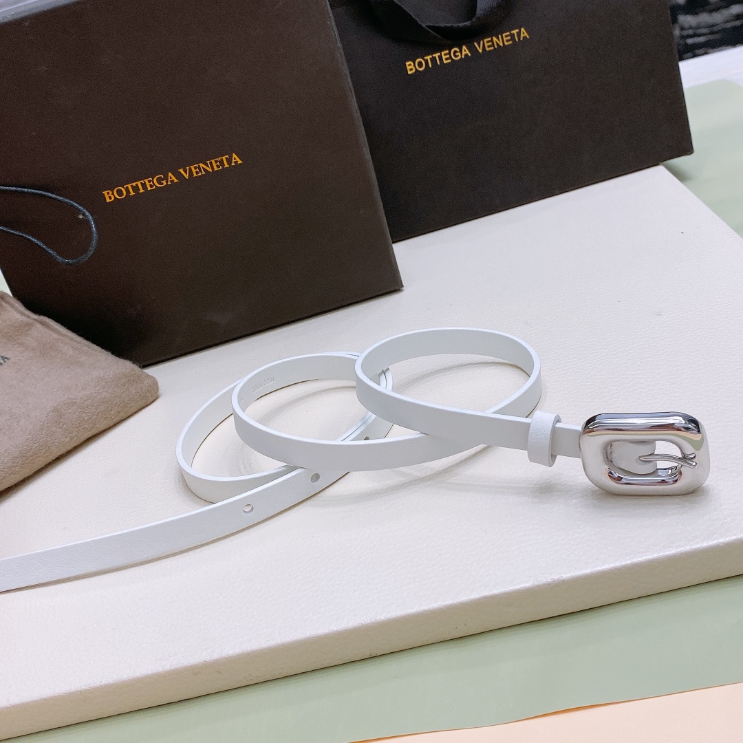 Ms. BV Calfskin Link Belt: Soft Hands, Brass Buckle, Various Sizes. - 图片 1