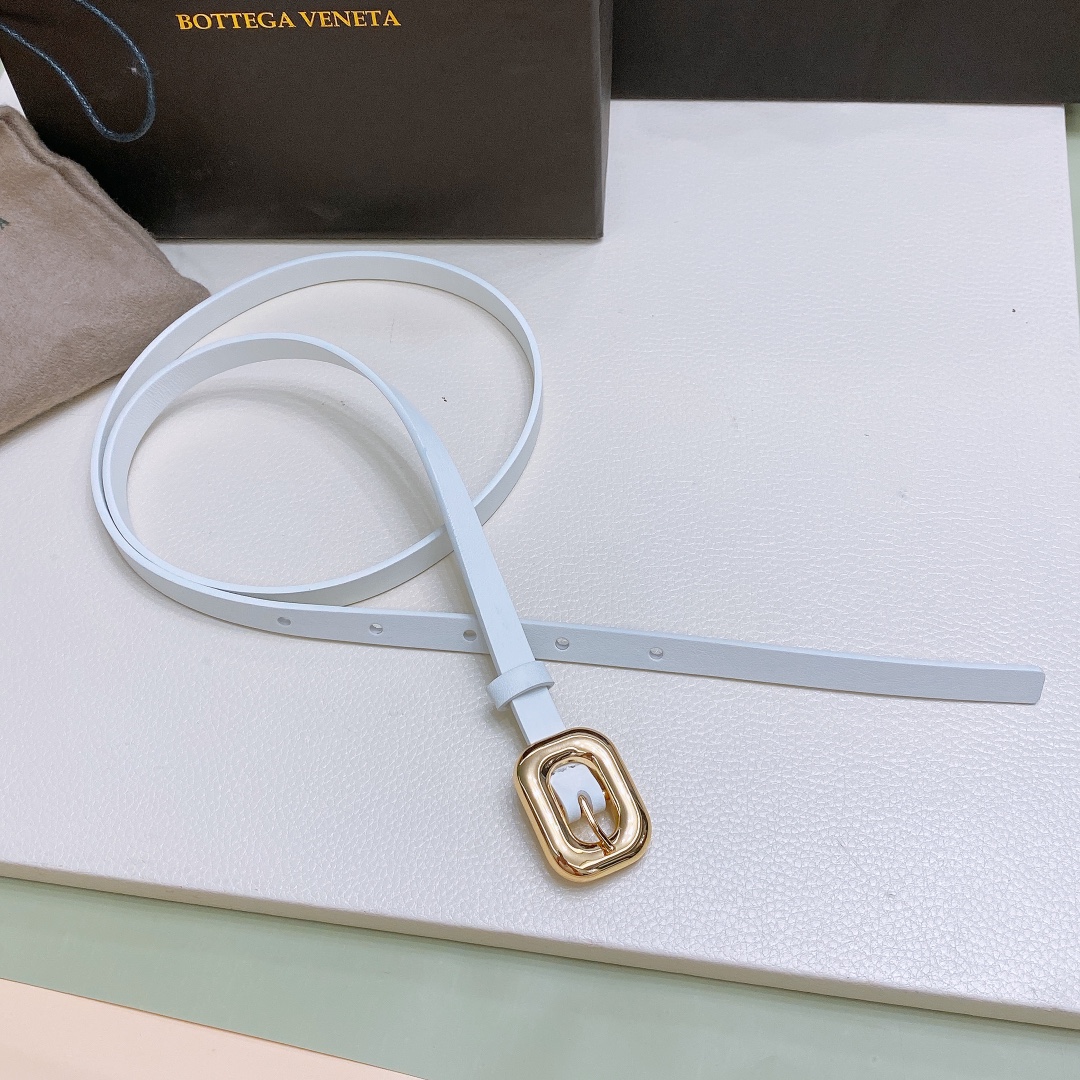 Ms. BV Calf Skin Link Belt with Brass Buckle: Various Sizes Available - 图片 6