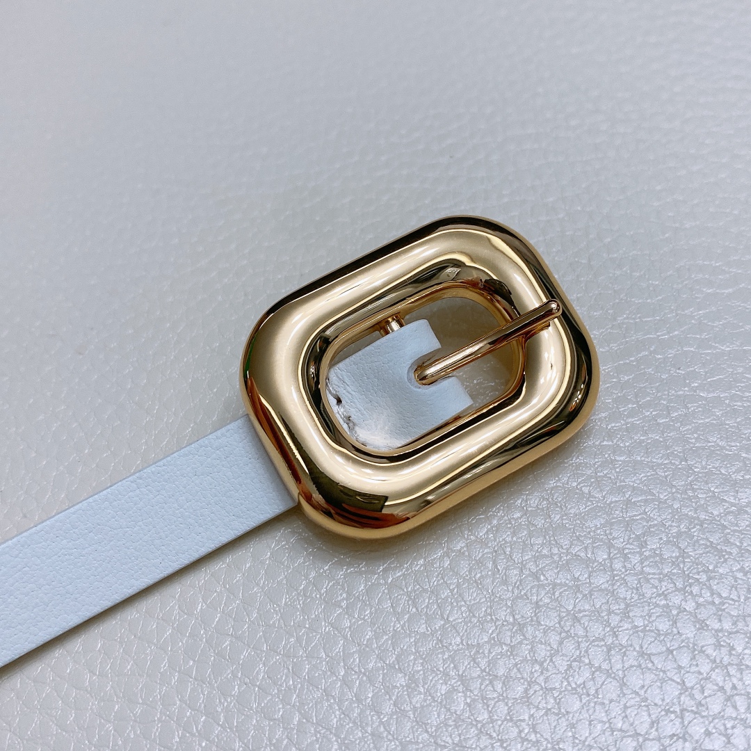 Ms. BV Calf Skin Link Belt with Brass Buckle: Various Sizes Available - 图片 3