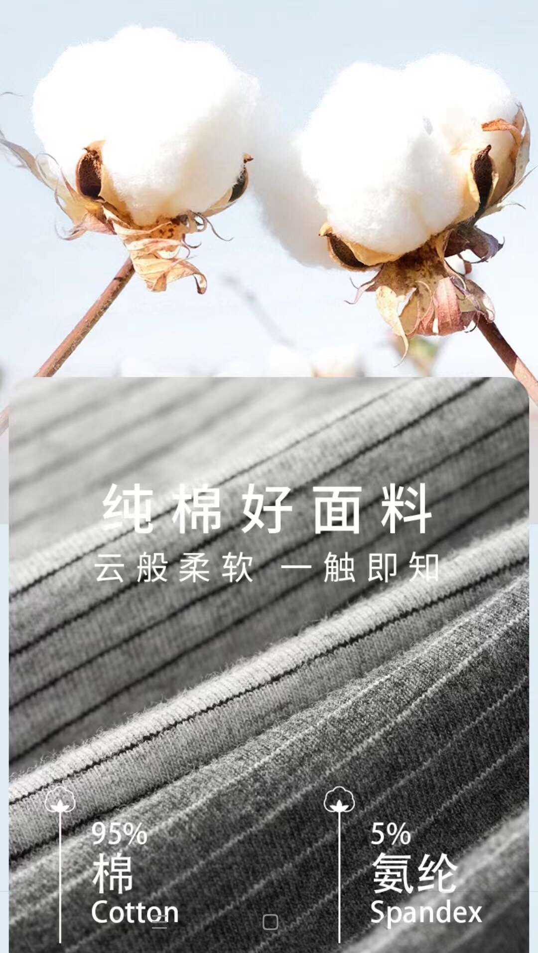  巴黎世家🆕🆕🆕条纹纯棉阿罗裤，％95棉，码数：L、XL、XXL，码数偏大、一盒三条，不挑色