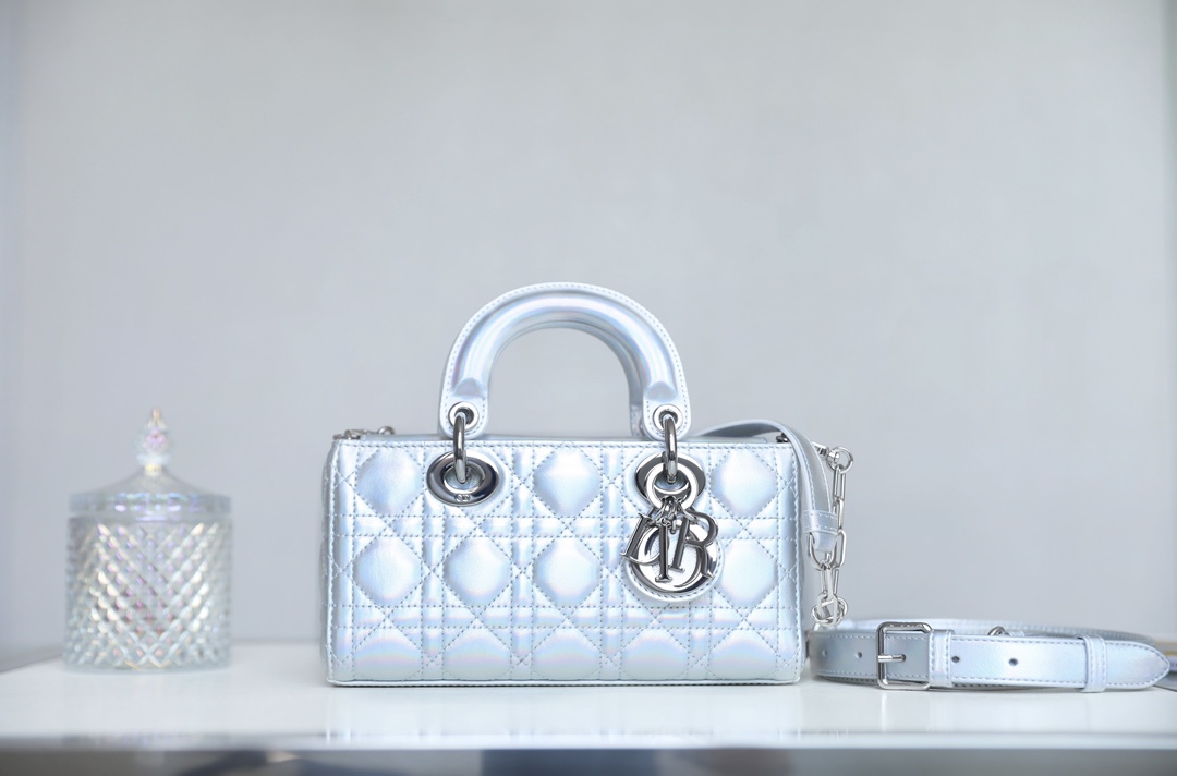 Dior Lady Bags Handbags Silver Canvas Chains