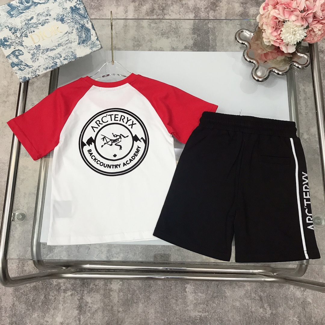 Arcteryx 2023 Summer Velvet T-Shirts: Customized High-Quality Import Designs - 图片 8