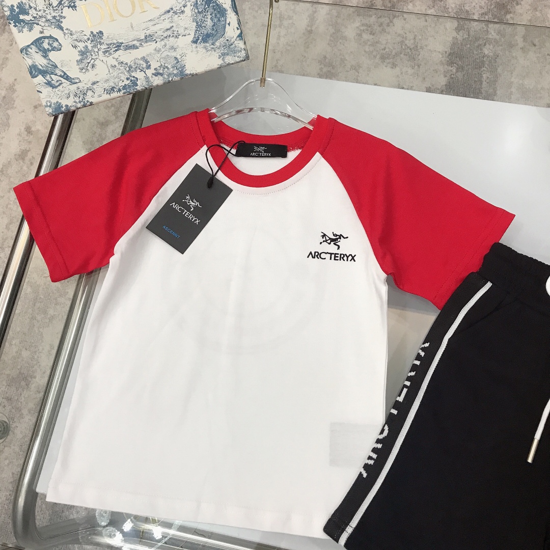 Arcteryx 2023 Summer Velvet T-Shirts: Customized High-Quality Import Designs - 图片 4