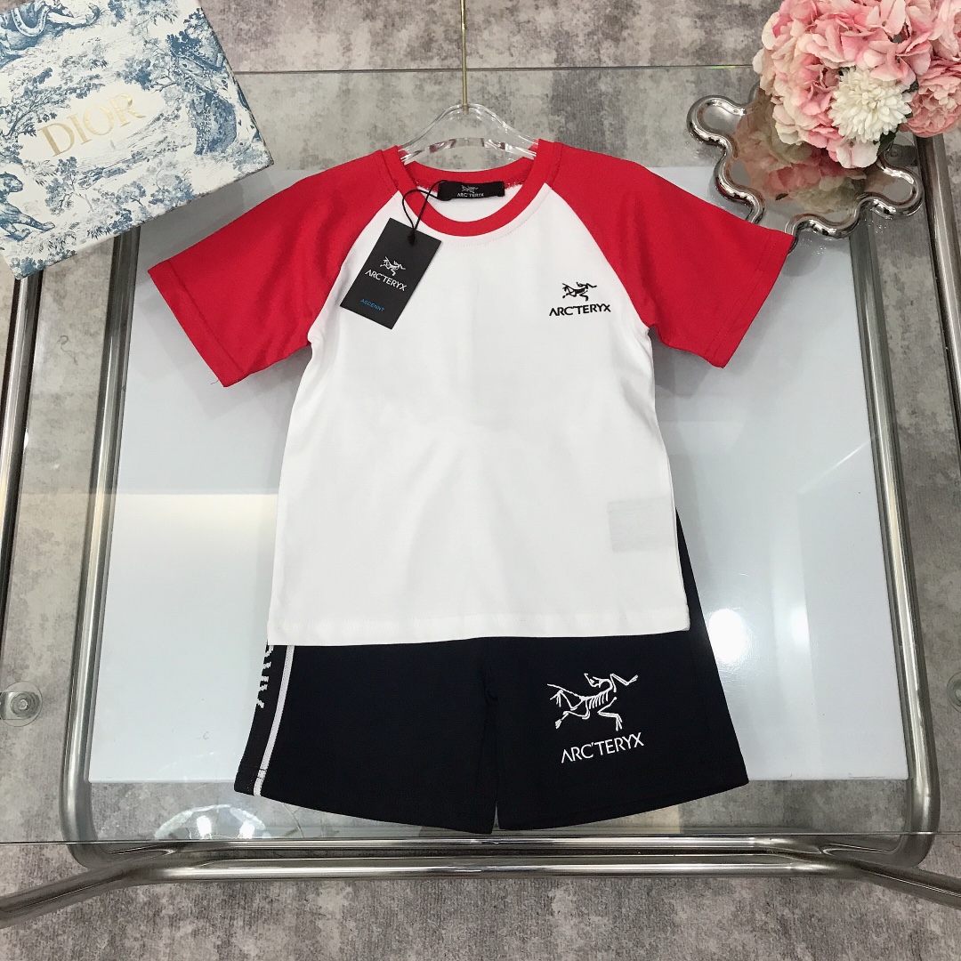 Arcteryx 2023 Summer Velvet T-Shirts: Customized High-Quality Import Designs - 图片 2