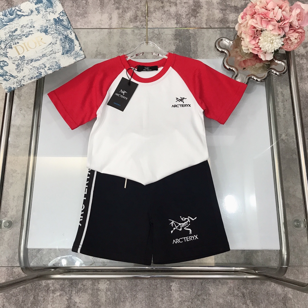 Arcteryx 2023 Summer Velvet T-Shirts: Customized High-Quality Import Designs - 图片 3