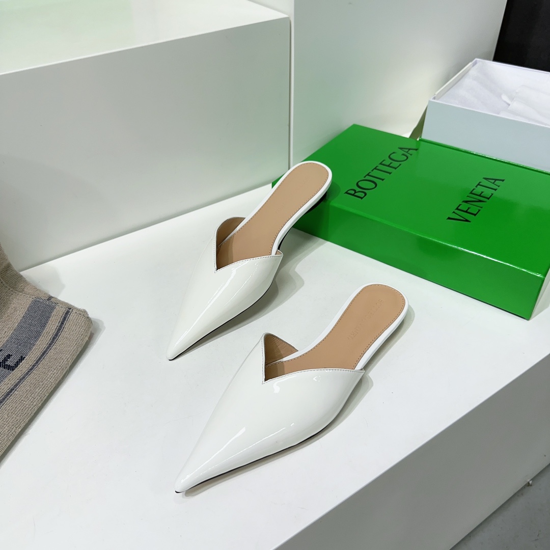 Bottega Veneta BV 23: High-Quality Flat Shoes for Spring and Summer - 图片 5