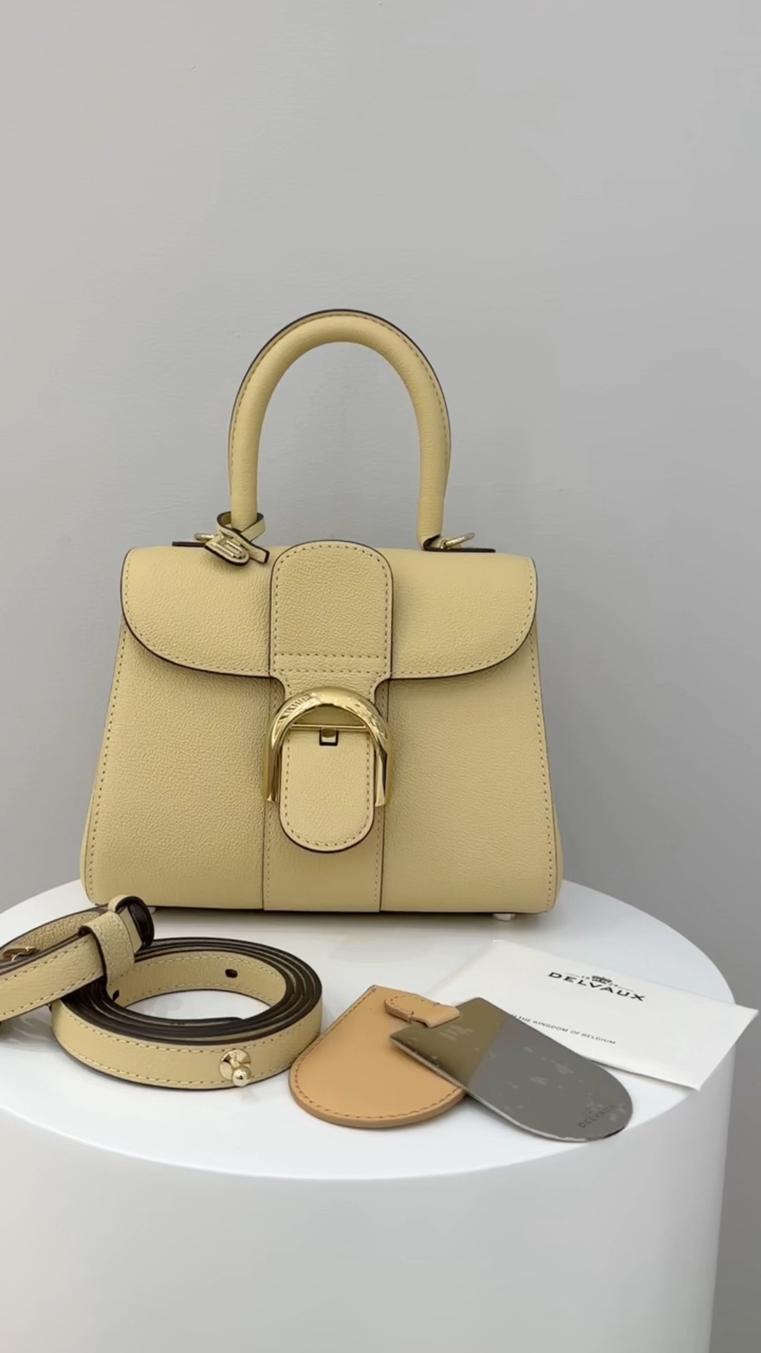 Delvaux togo mini sand dune color ready to shoot