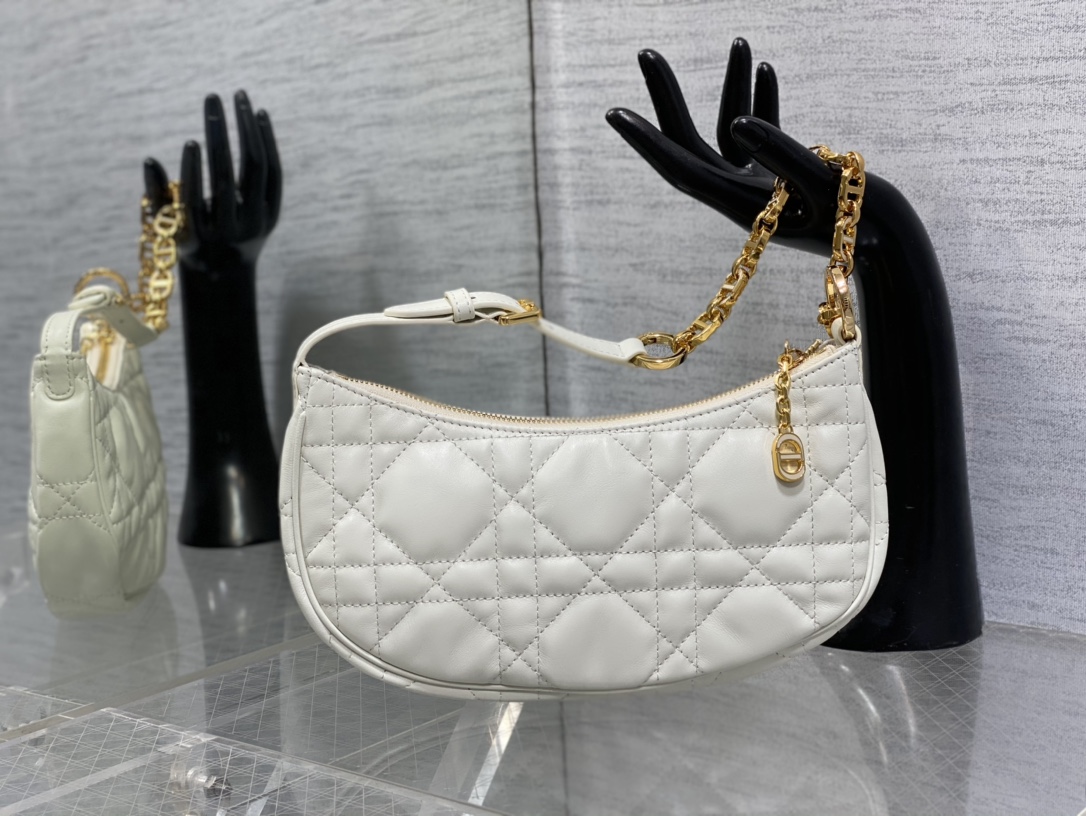 Dior Moon Bag Shoulder Bag Calfskin Chain