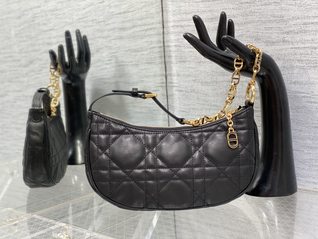 Dior Moon Bag Shoulder Bag Calfskin Chain