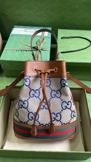 Gucci Ophidia Bucket Bags Blue Brown Canvas