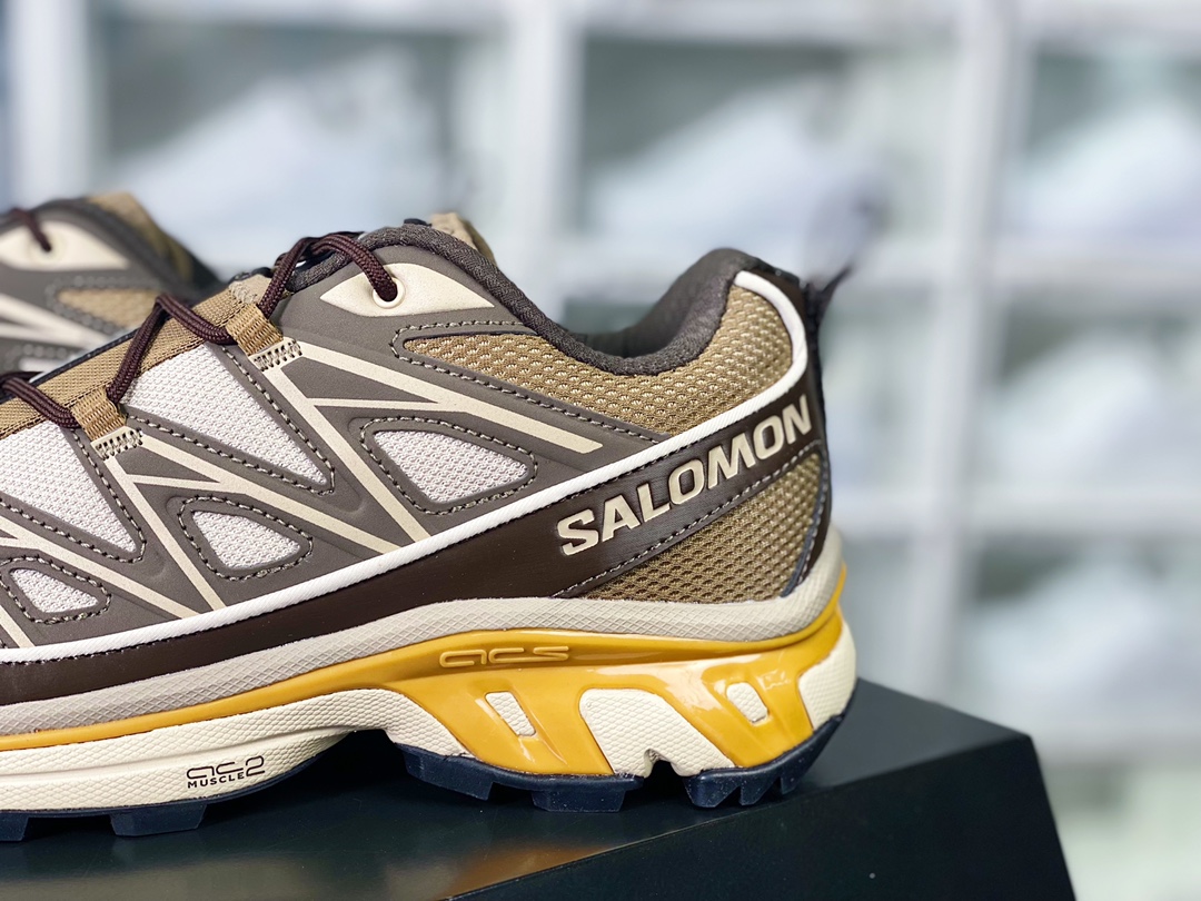 Salomon/Salomon XT-6 Expanse ”Dark Brown/Grey”