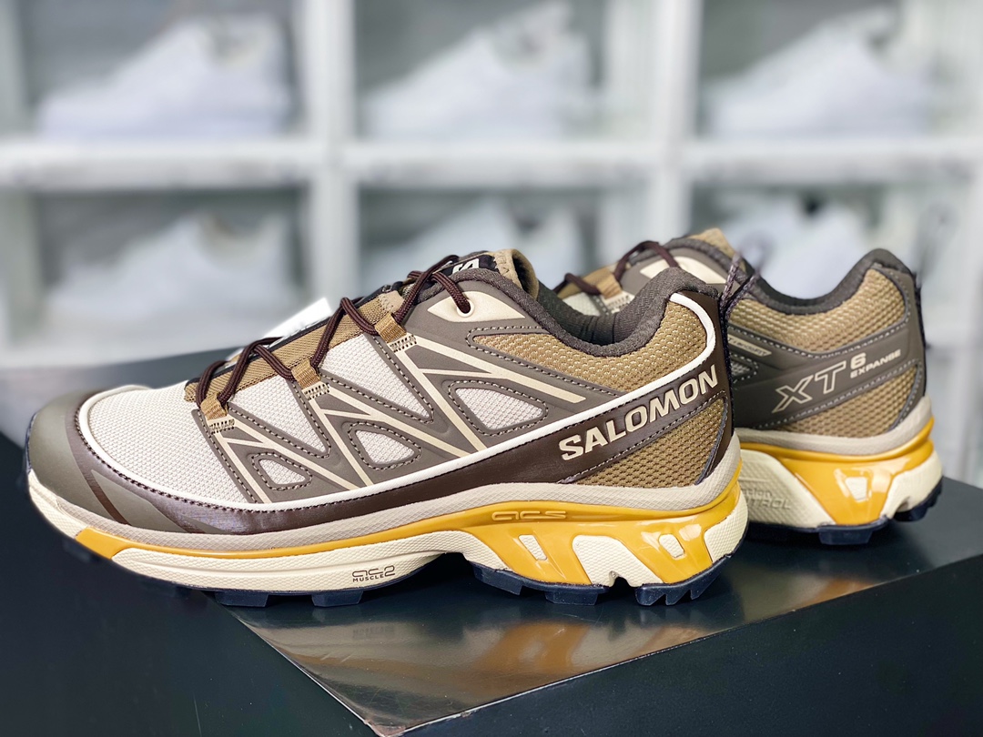 Salomon/Salomon XT-6 Expanse ”Dark Brown/Grey”