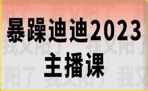 【网赚上新】125.暴躁迪迪2023年主播课