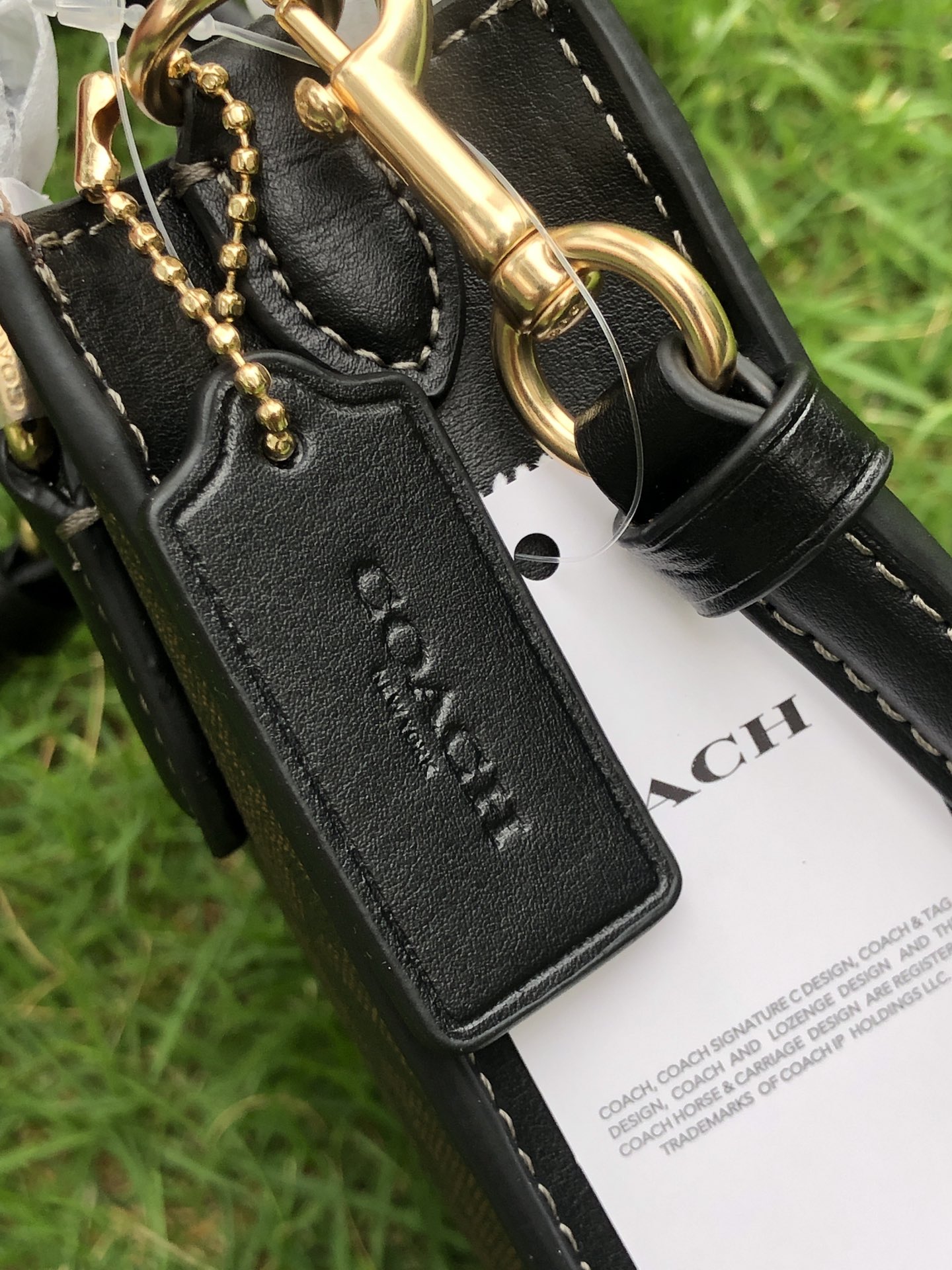 Coach Coach纯原CJ494 高品代购级 最新款小琴谱2色 最新改款 mini琴谱包