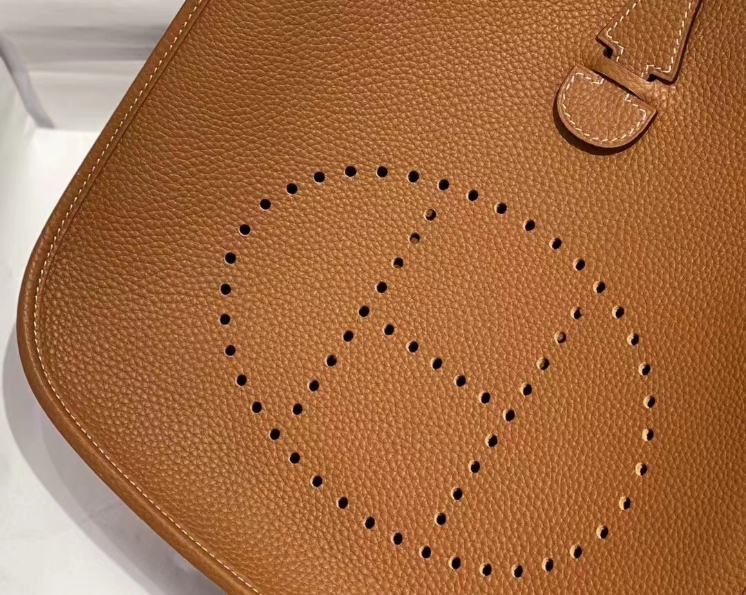 Evelyne 29 Crossbody Bag, Summer Casual Versatile, Classic Hollow H Letter 3 i1684815865 2028 2