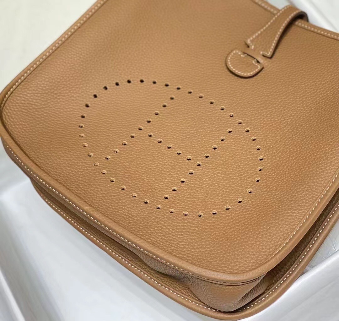 Evelyne 29 Crossbody Bag,Summer Casual, Classic Hollow H Letter,TC Leather 4 i1684816021 7715 2