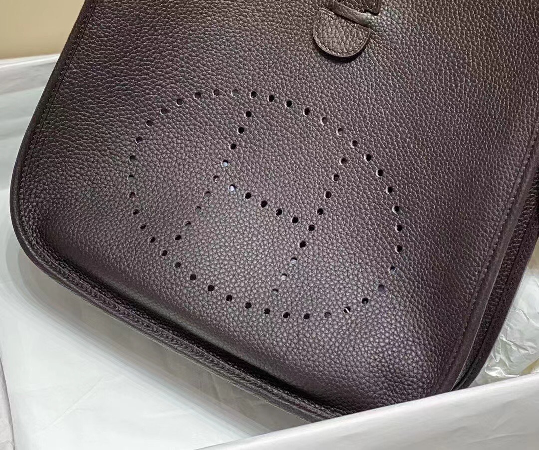 Evelyne 29 Crossbody Bag, Summer Casual Style, Classic Hollow H Letter 7 i1684816085 8614 5