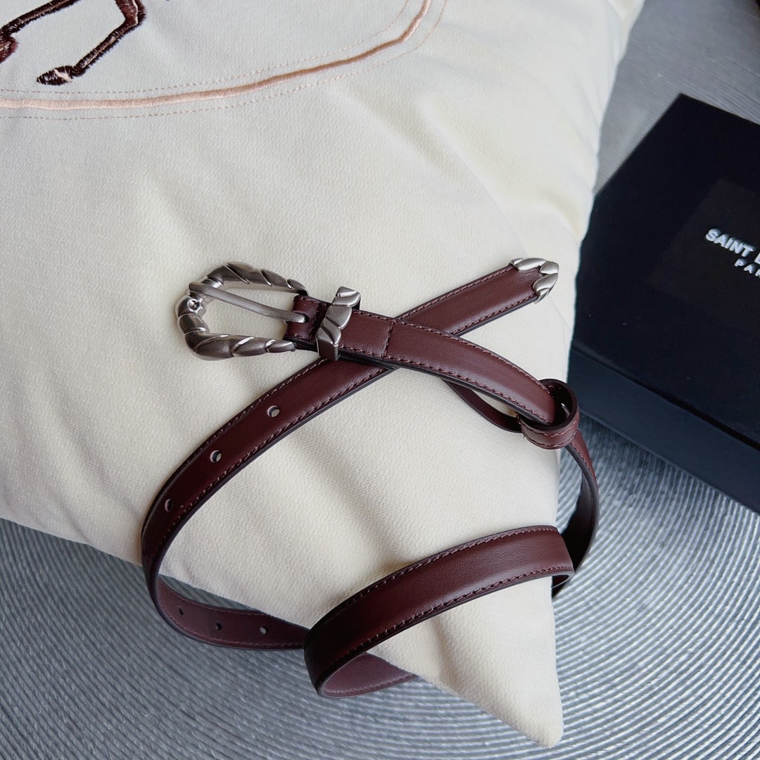 YSL Saint Laurent Paris Women’s Metal Frame Belt Retrospective Design Summary - 图片 1