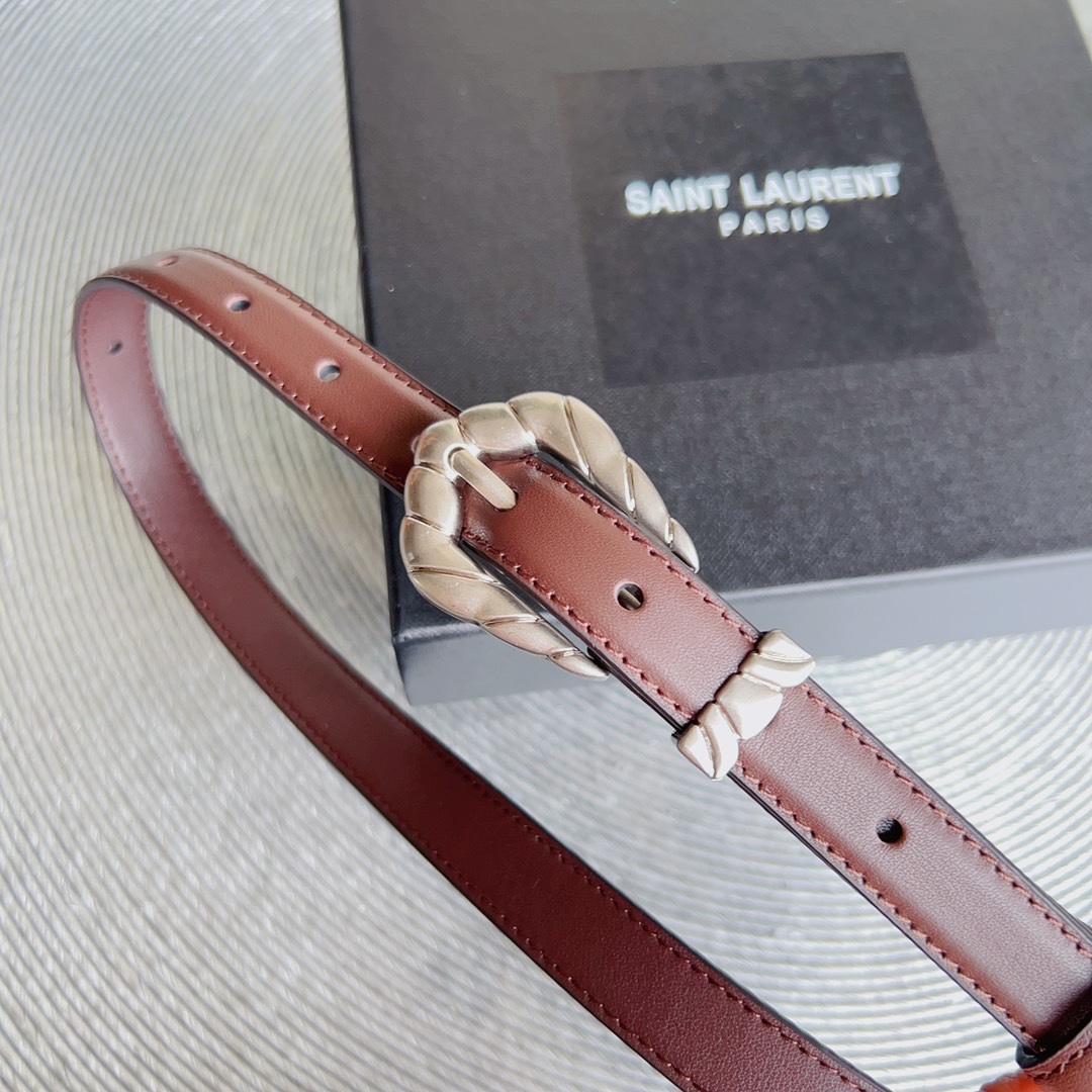 YSL Saint Laurent Paris Women’s Metal Frame Belt Retrospective Design Summary - 图片 3