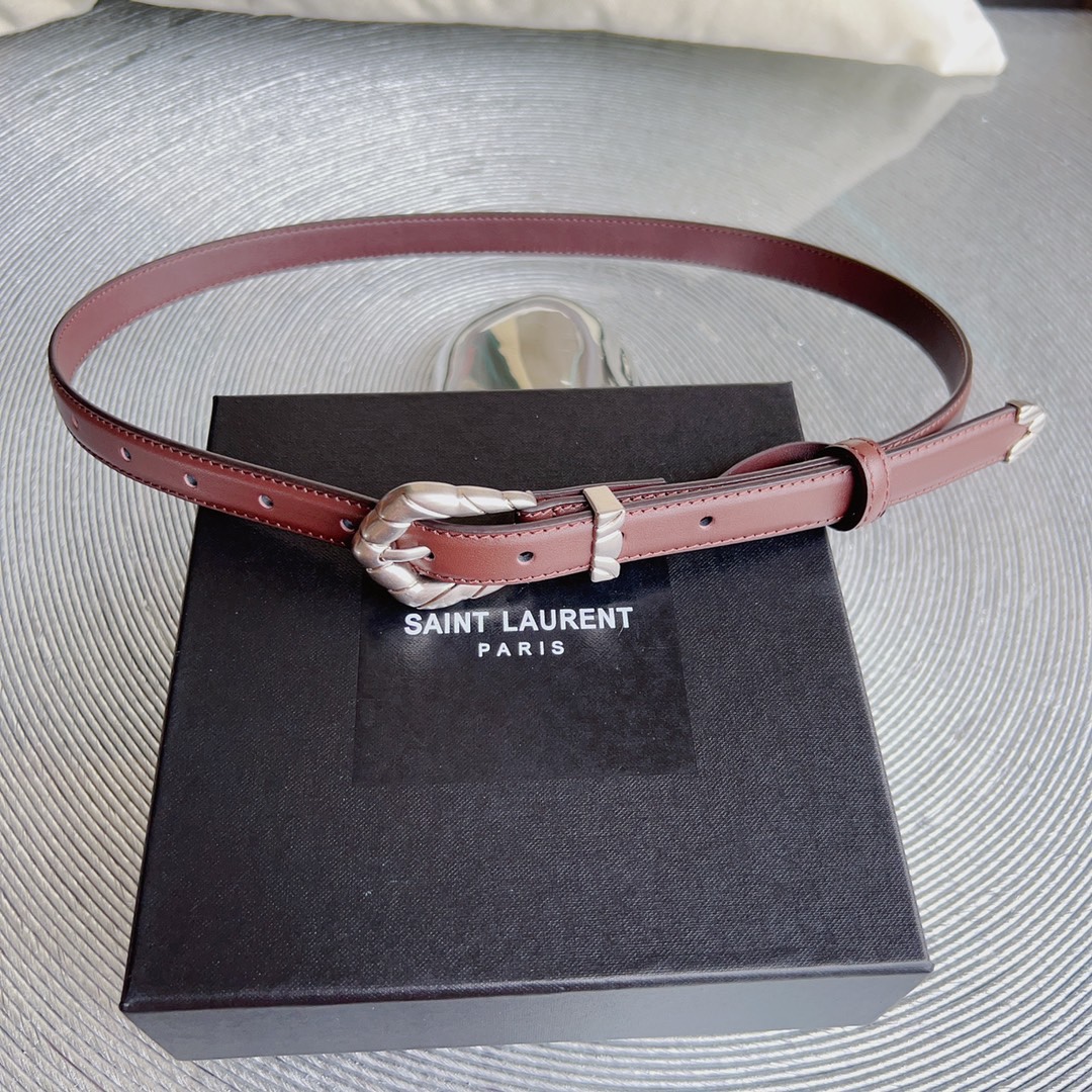 YSL Saint Laurent Paris Women’s Metal Frame Belt Retrospective Design Summary - 图片 5
