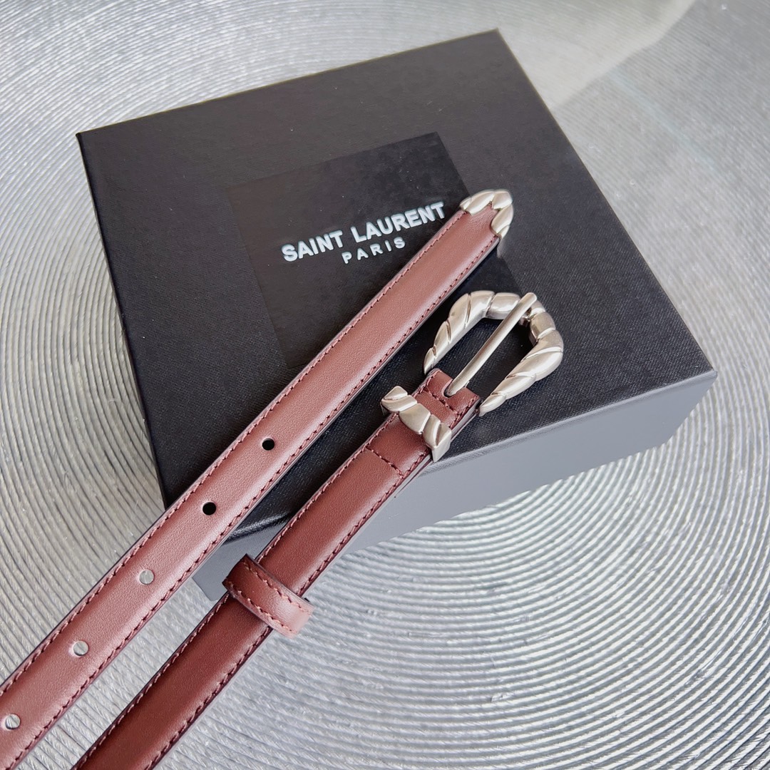YSL Saint Laurent Paris Women’s Metal Frame Belt Retrospective Design Summary - 图片 4
