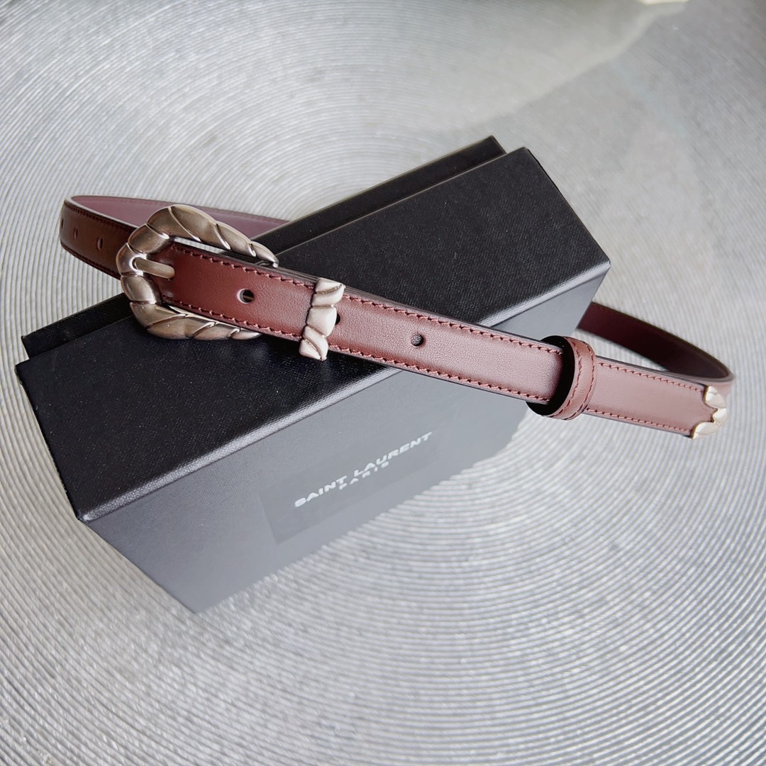 YSL Saint Laurent Paris Women’s Metal Frame Belt Retrospective Design Summary - 图片 2