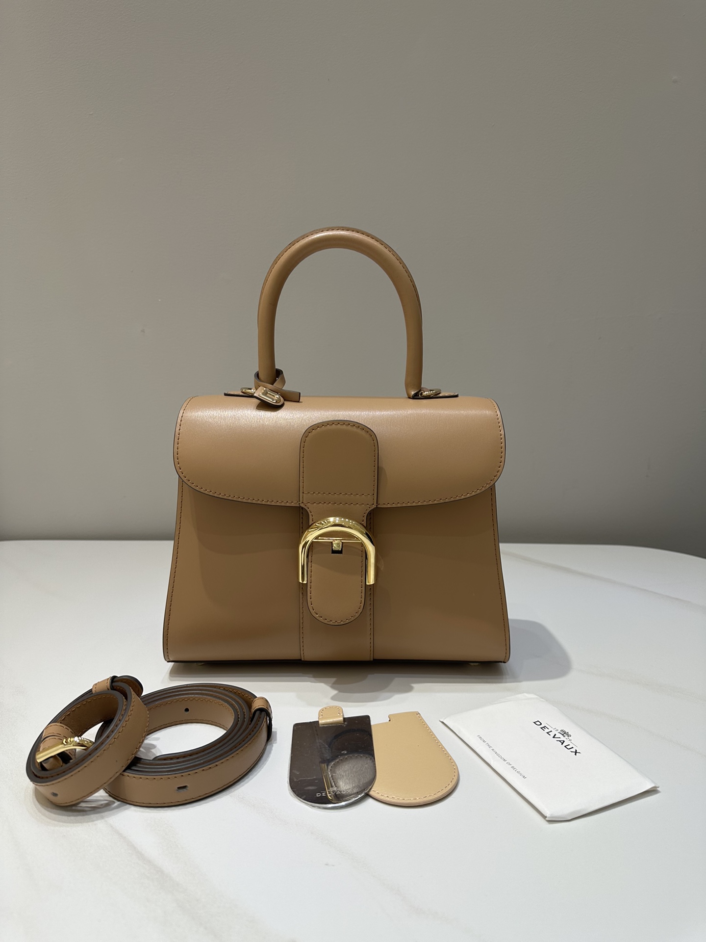 Delvaux Brillant PM Box Leather Handbag with Adjustable Strap 2 i1684988416 4631 0
