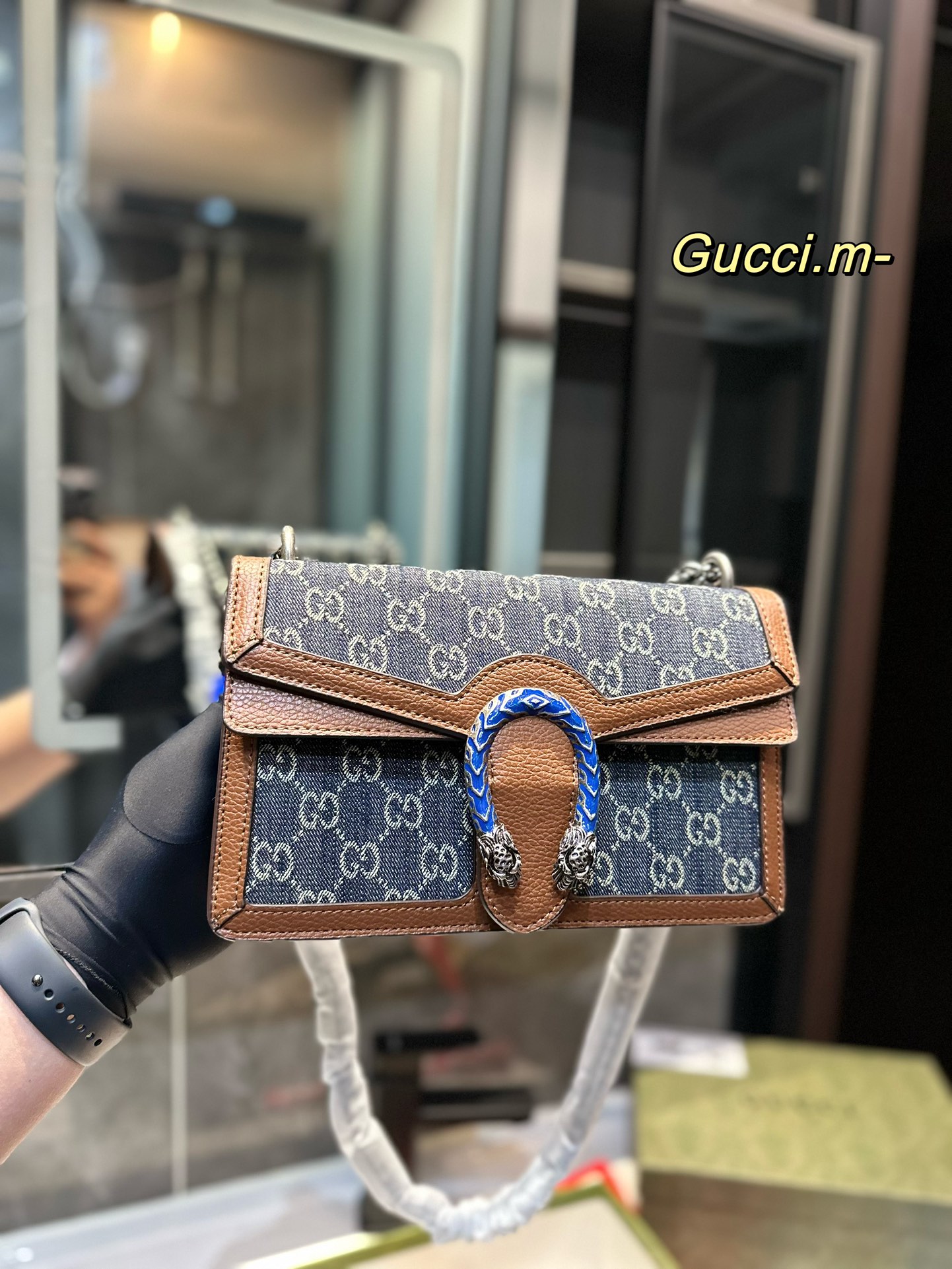 Gucci Dionysus Mrożone PVC