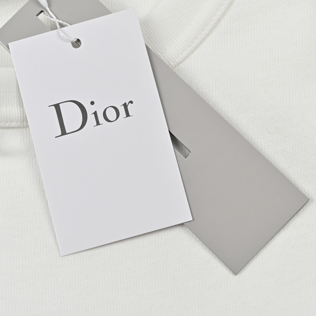 160 DIOR/迪奥2023SS春夏新品植绒字母印花短	袖