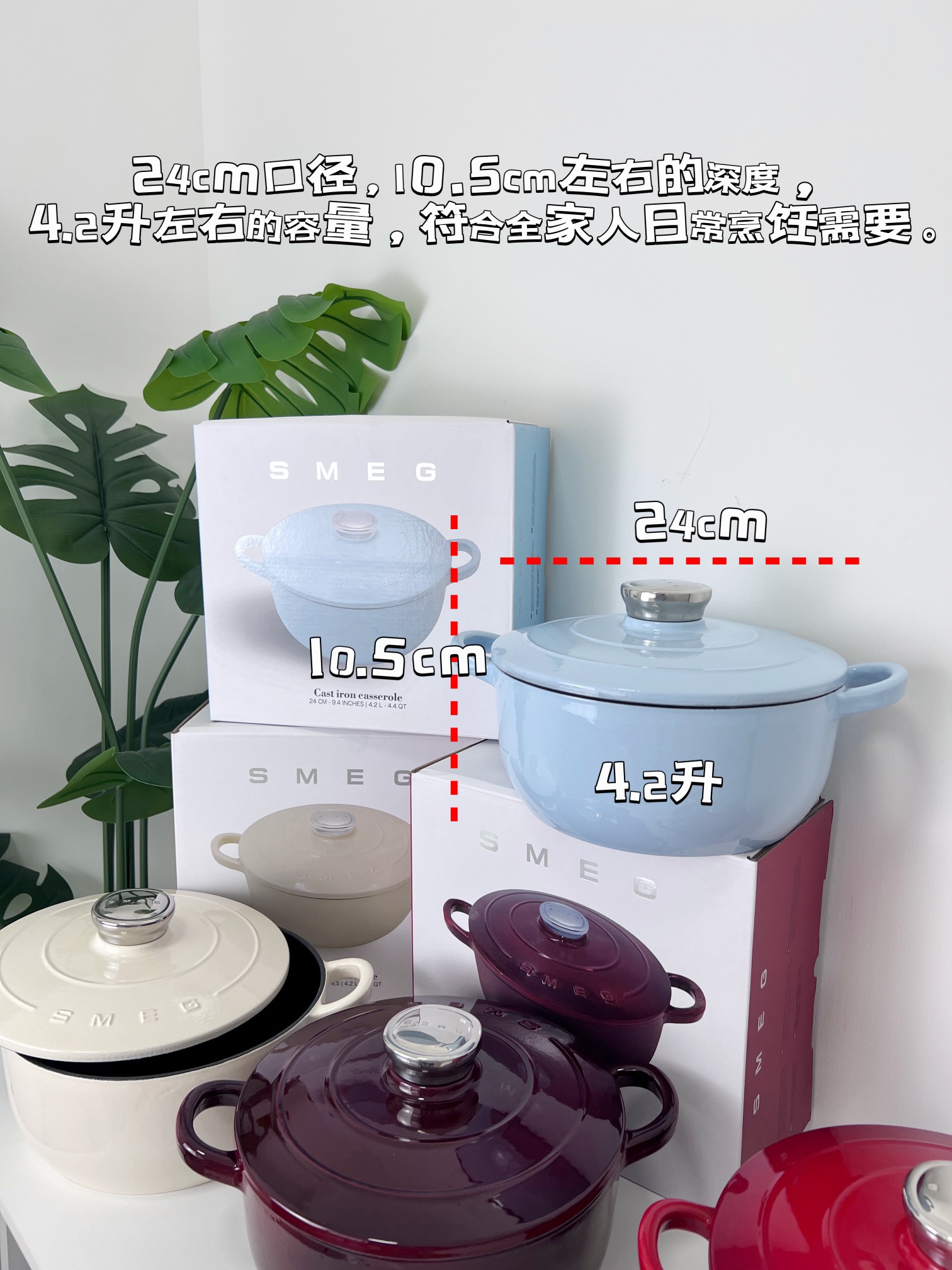 MiniCost Comprehensive 3