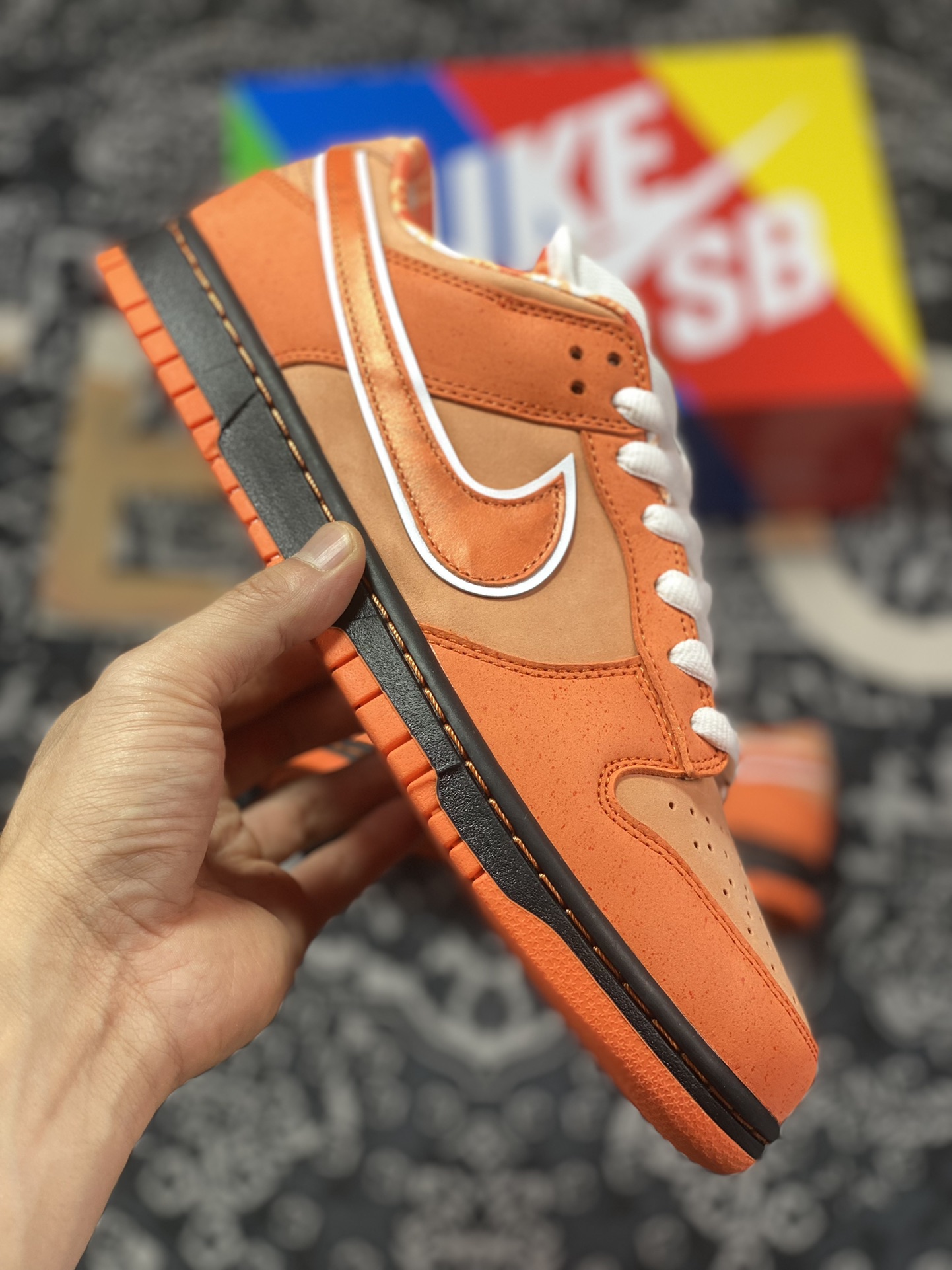 A well-known Boston shoe store co-branded Concepts x Nike SB Dunk Low Orange Lobster orange lobster co-branded color FD8776-800