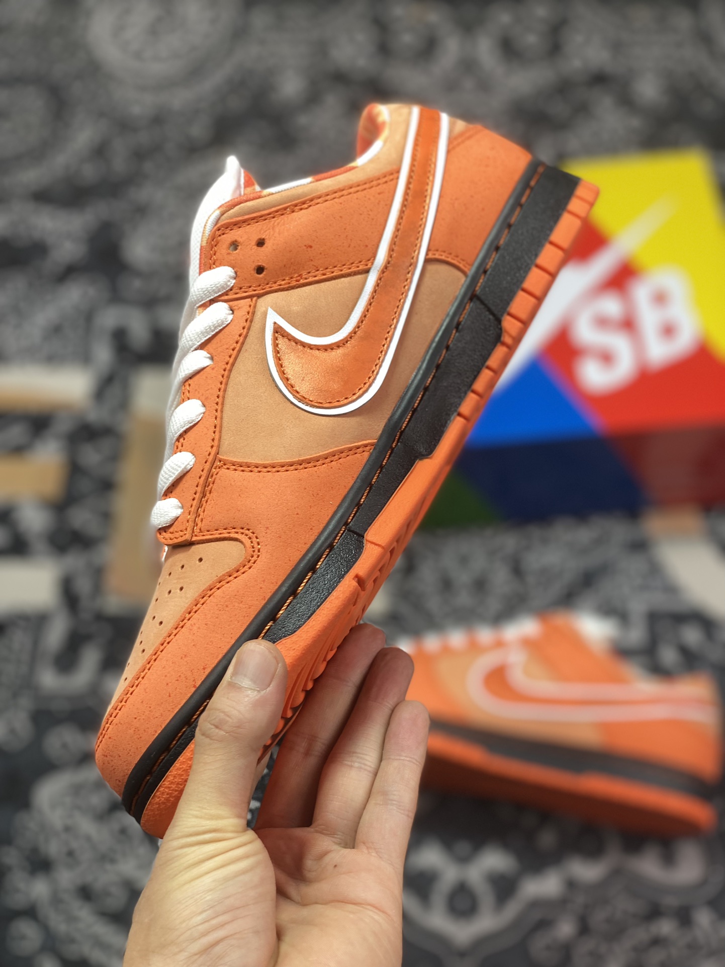 A well-known Boston shoe store co-branded Concepts x Nike SB Dunk Low Orange Lobster orange lobster co-branded color FD8776-800