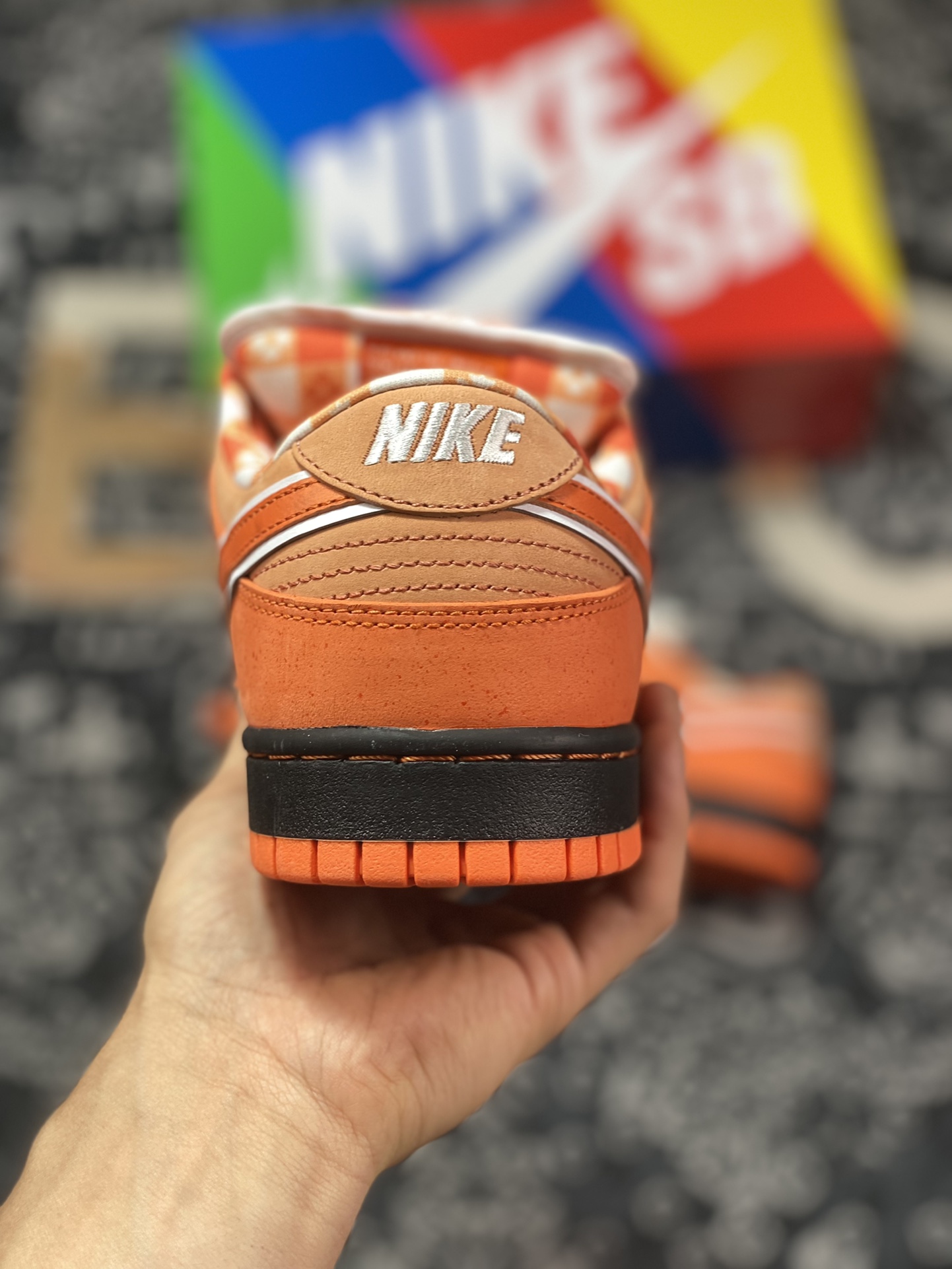 A well-known Boston shoe store co-branded Concepts x Nike SB Dunk Low Orange Lobster orange lobster co-branded color FD8776-800