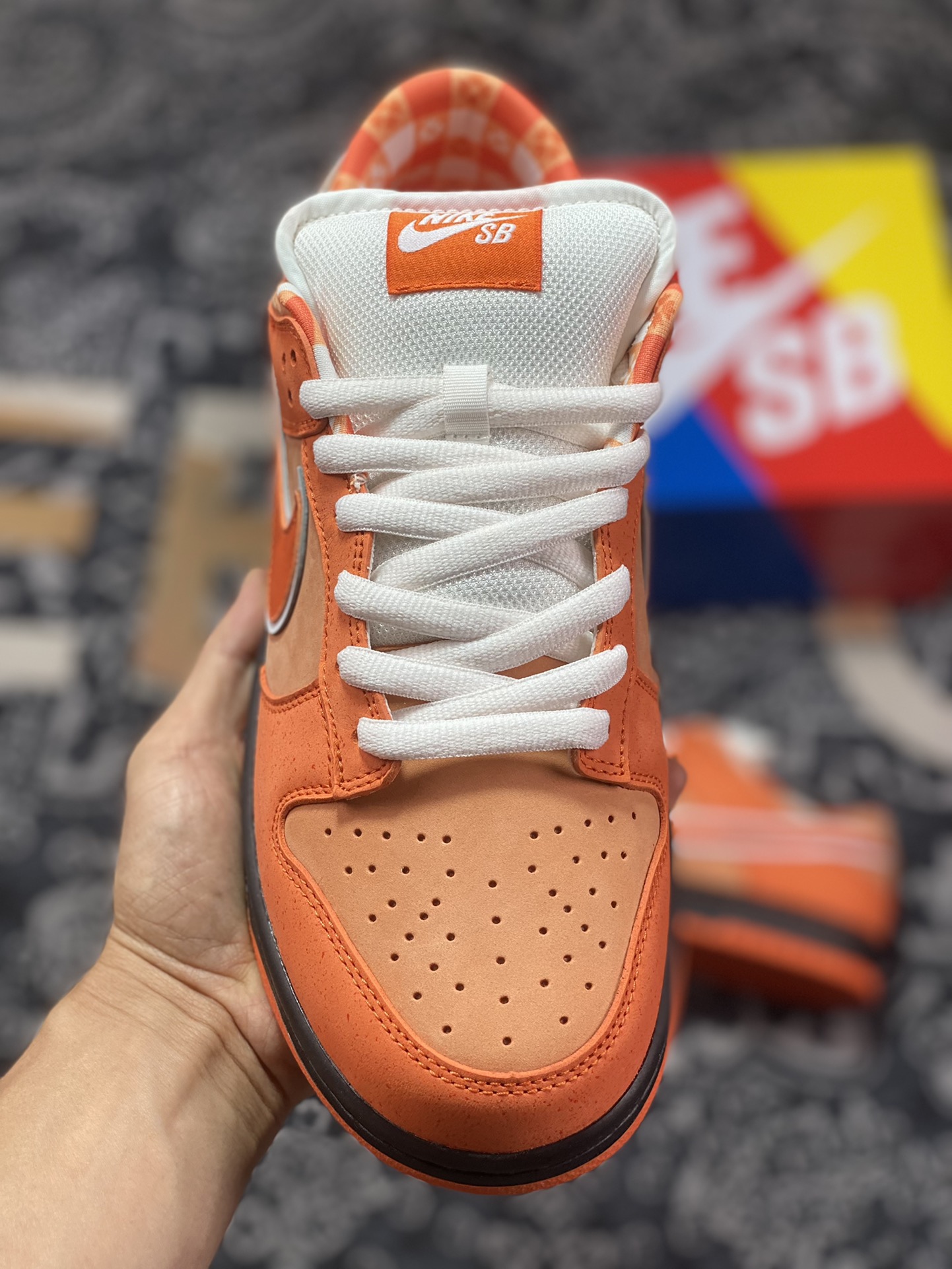 A well-known Boston shoe store co-branded Concepts x Nike SB Dunk Low Orange Lobster orange lobster co-branded color FD8776-800