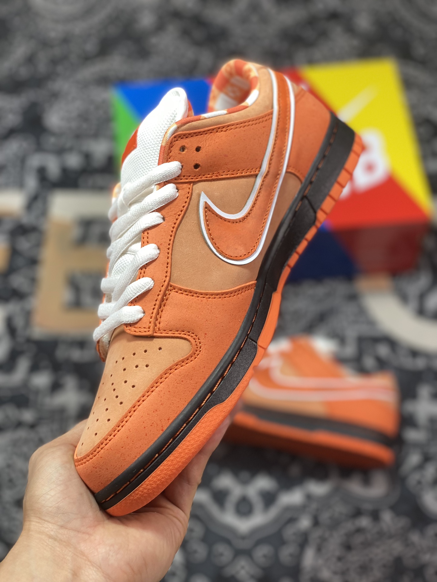 A well-known Boston shoe store co-branded Concepts x Nike SB Dunk Low Orange Lobster orange lobster co-branded color FD8776-800