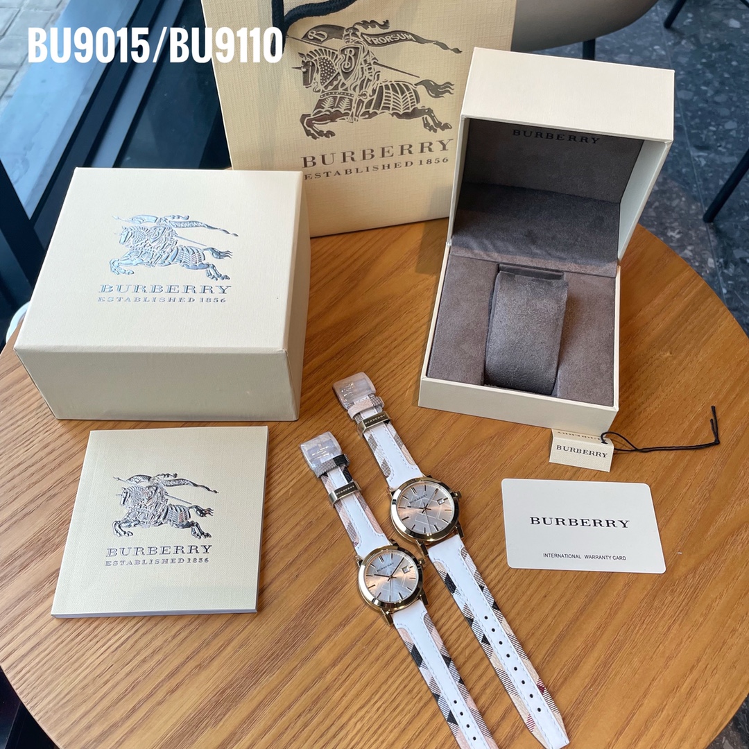Burberry Steel Watch BU9015 & BU9110: Elegant Design with Platinum Skin - 图片 1